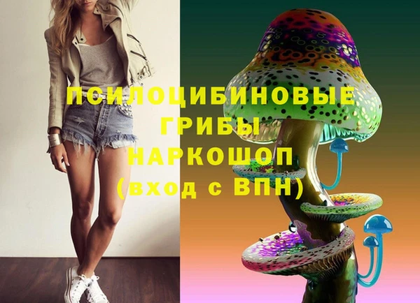 стафф Алзамай