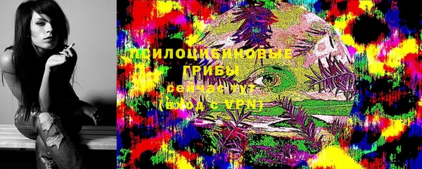 стафф Алзамай