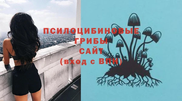 стафф Алзамай